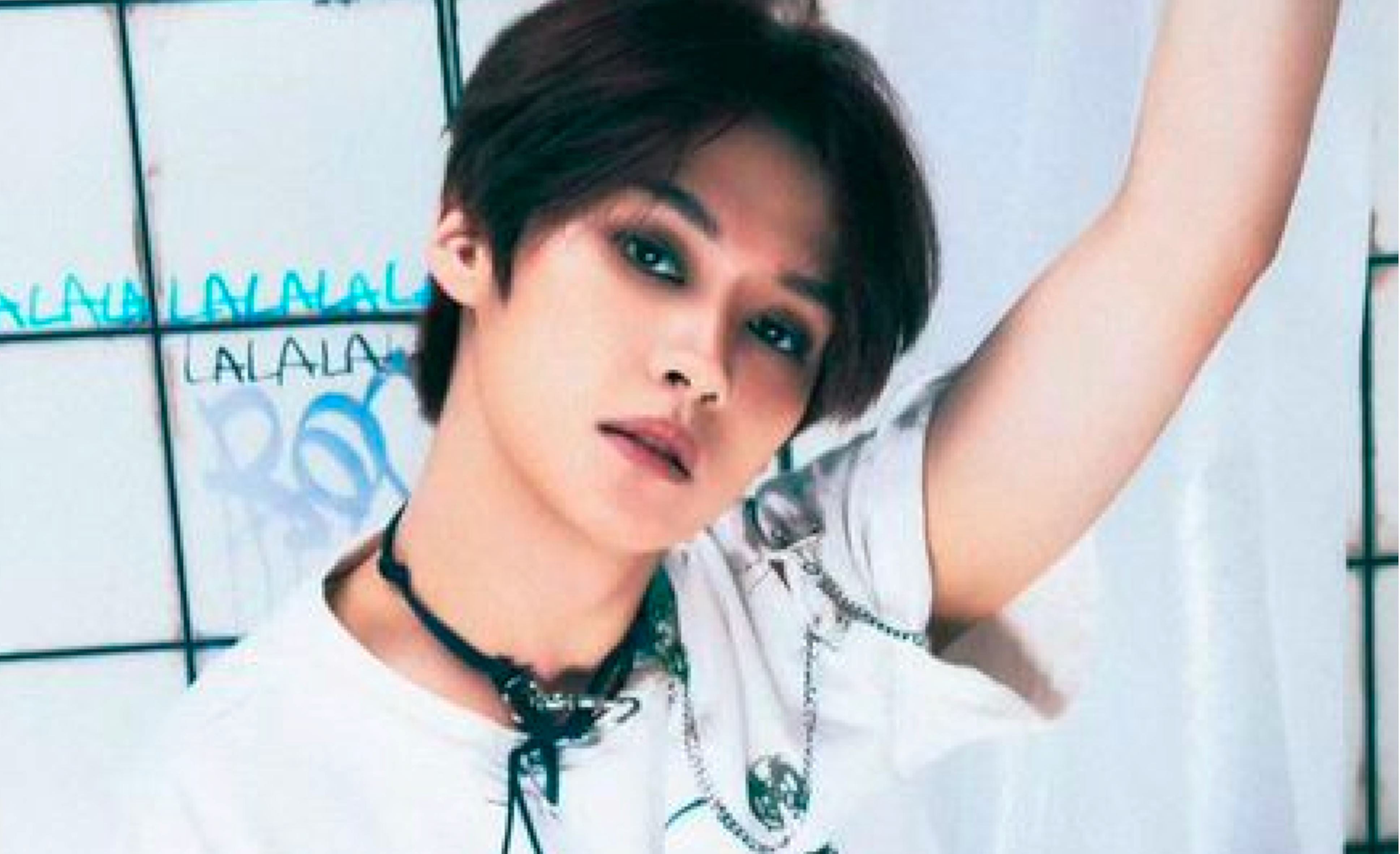 Lee Know (Stray Kids) Profil