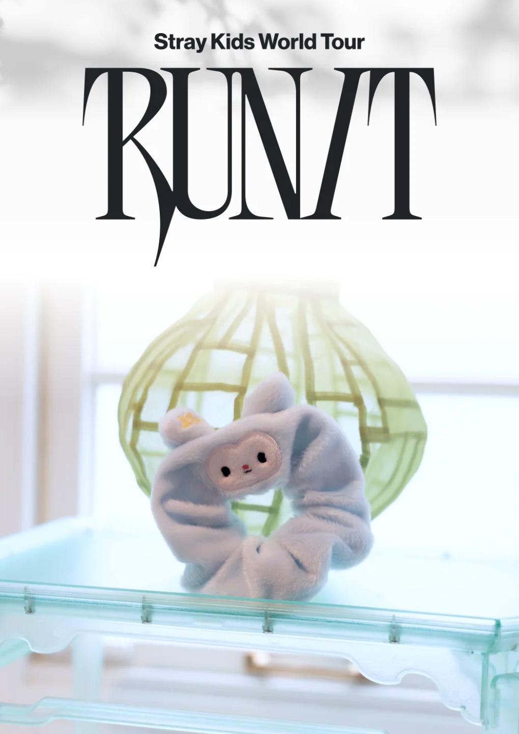 STRAY KIDS - WORLD TOUR 'RUN IT' MD 2