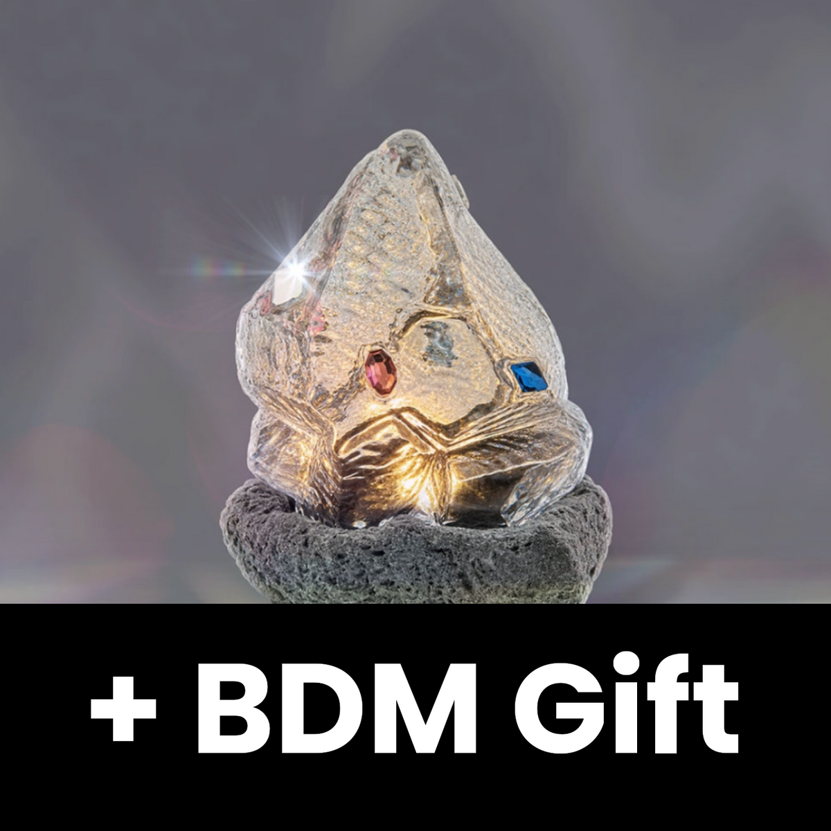 NMIXX - STRANGE MUSE (LIGHT VER.) + BDM Gift