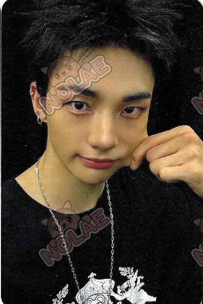 STRAY KIDS - KARMA - POB APPLE MUSIC PHOTOCARD Nolae