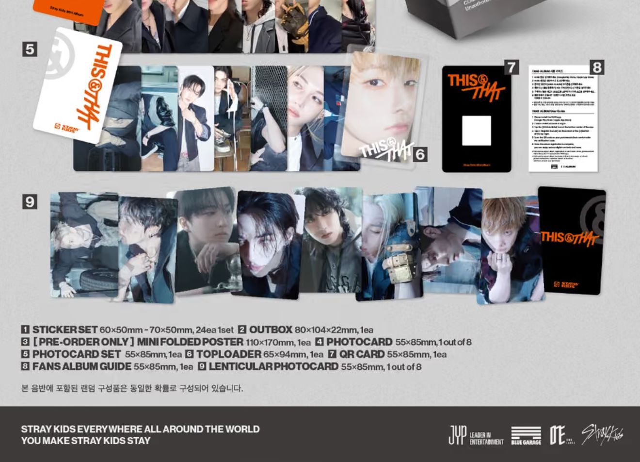 STRAY KIDS - THIS & THAT (FANS ALBUM VER.) + Dear My Muse Gift Nolae