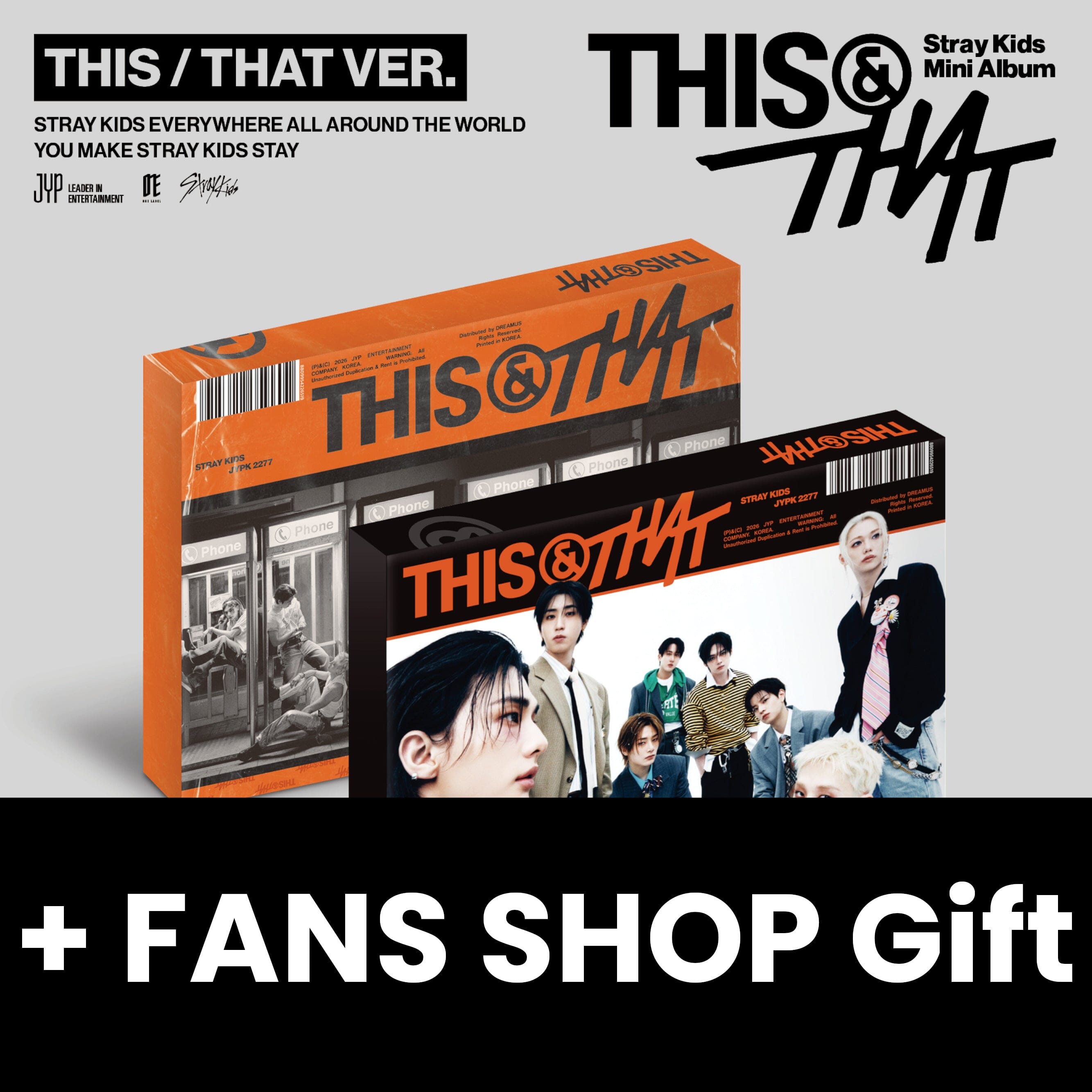 STRAY KIDS - THIS & THAT + FANS SHOP Gift Nolae