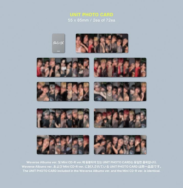 &TEAM - BACK TO LIFE (1ST KOREAN MINI ALBUM) (PHOTOCARD BOX) (WEVERSE ALBUMS VER.) Nolae